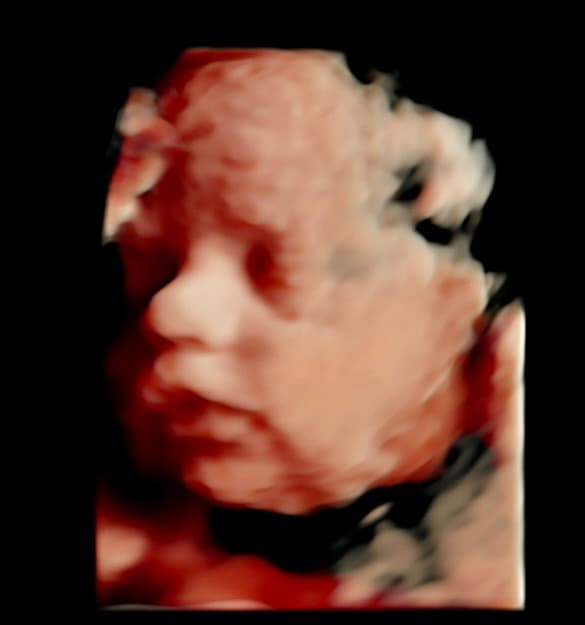 Gallery 3D-orange-2.jpeg