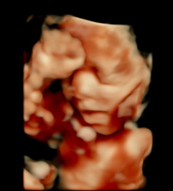 Gallery 3D-orange-3.jpeg