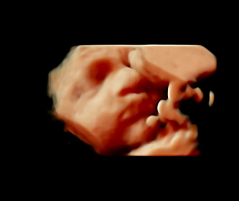 Gallery 3D-orange-4.jpeg